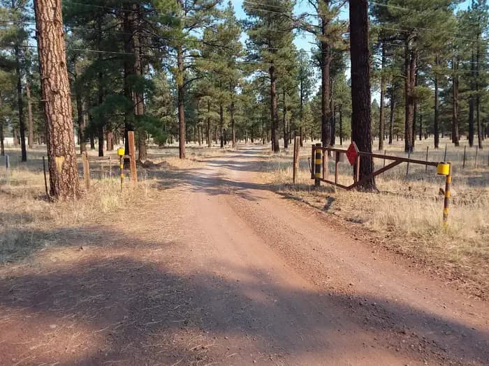 BENNY CREEK GROUP AREA photo 3