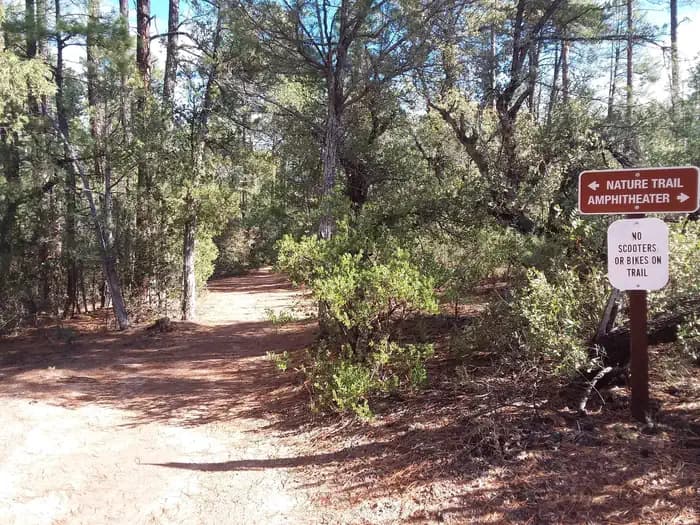 HOUSTON MESA photo 3