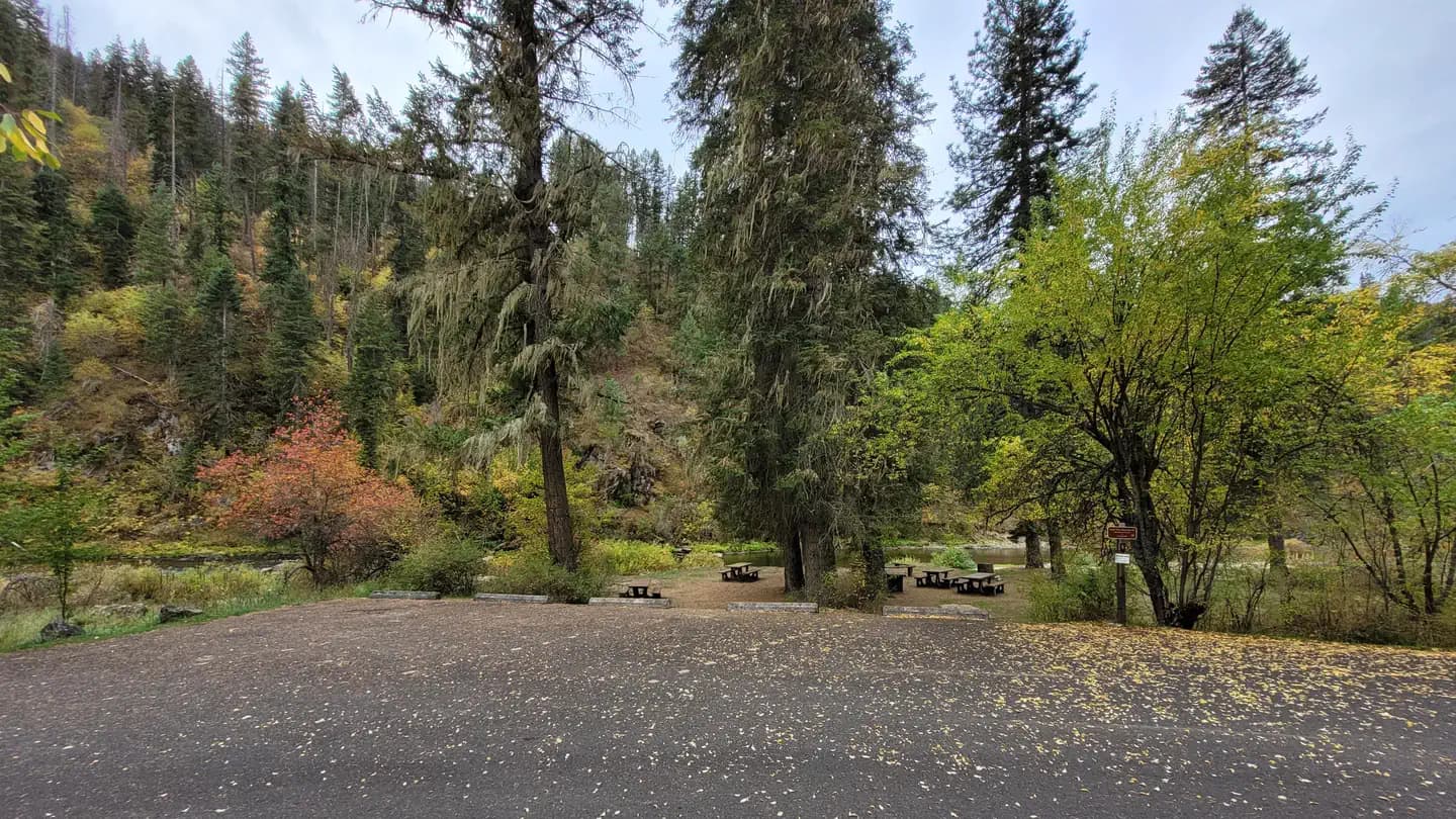 South Fork Group Site 5 - Nez Perce NF (ID) campground