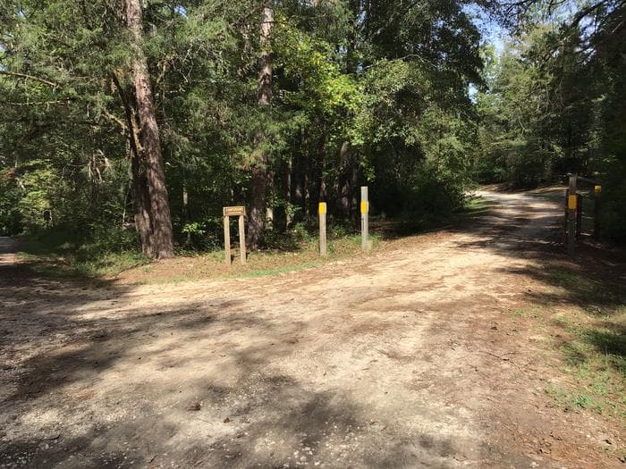 Woods Ferry Campground (SC)
