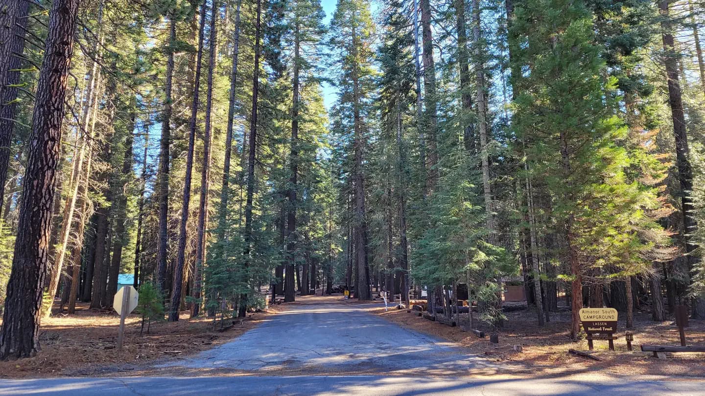 ALMANOR campground