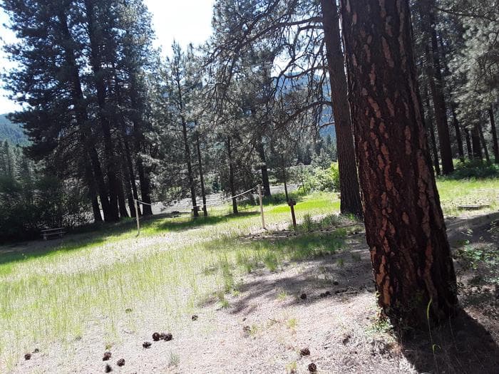 Sloway Campground (MT)