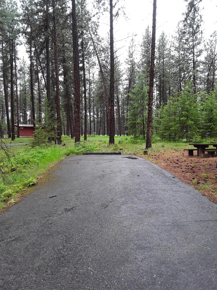 Quartz Flat Campground (MT) photo 3