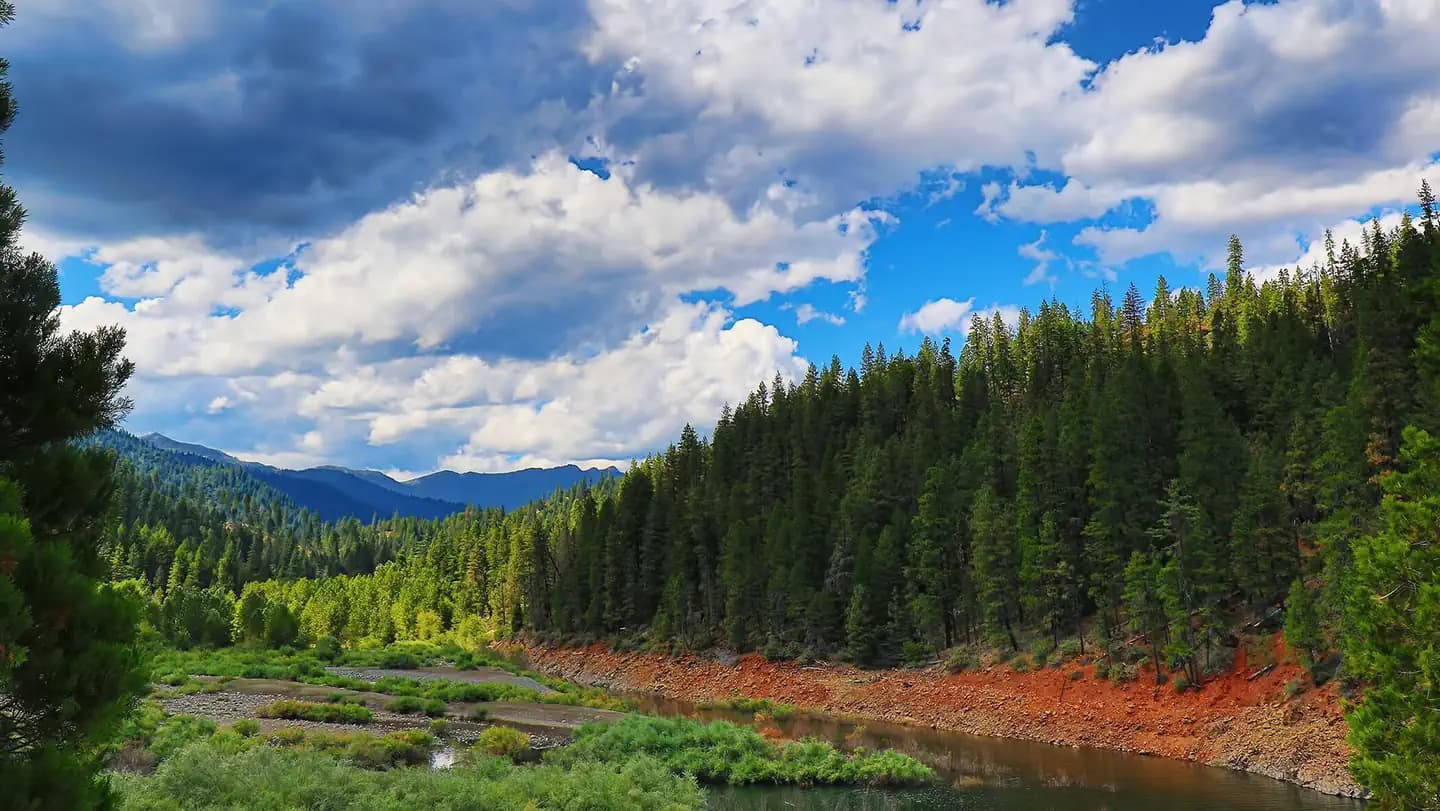 Preacher Meadow (CA)