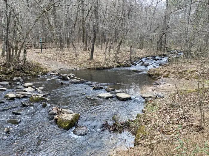 JOHN F KENNEDY photo 2