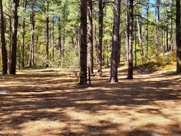 Double Springs photo 3