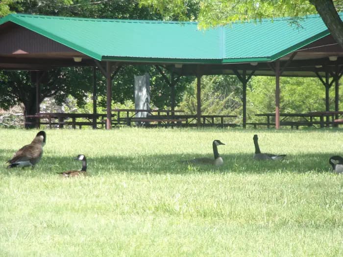 SANTA FE TRAIL photo 2