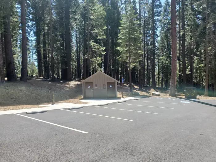 YELLOWJACKET campground