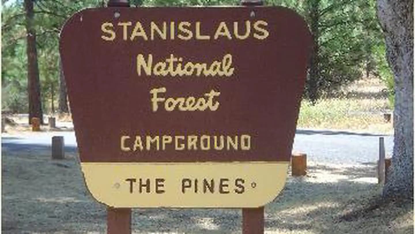 Pines Stanislaus campground