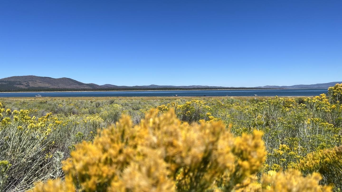 MERRILL CAMPGROUND campground