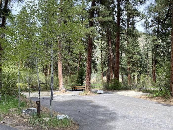 BAUMGARTNER CAMPGROUND photo 3