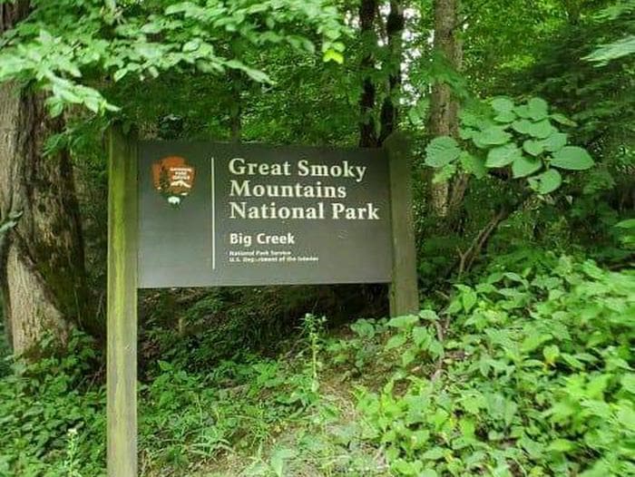 BIG CREEK CAMPGROUND (GREAT SMOKY MOUNTAINS NATIONAL PARK) photo 3