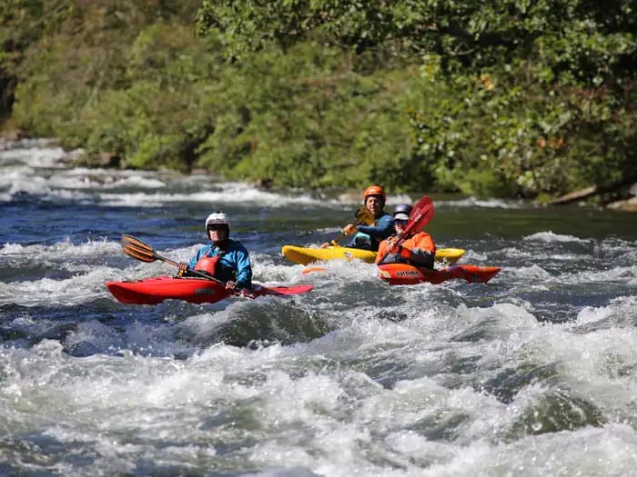 ROBERT W CRAIG photo 3