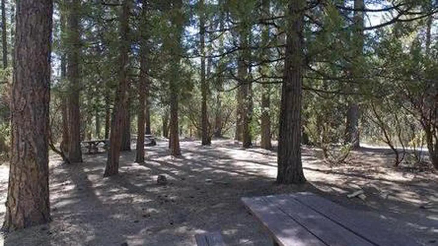 CRANE VALLEY photo 2