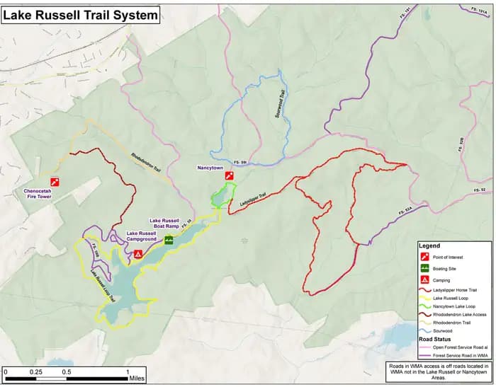 LAKE RUSSELL RECREATION AREA campground