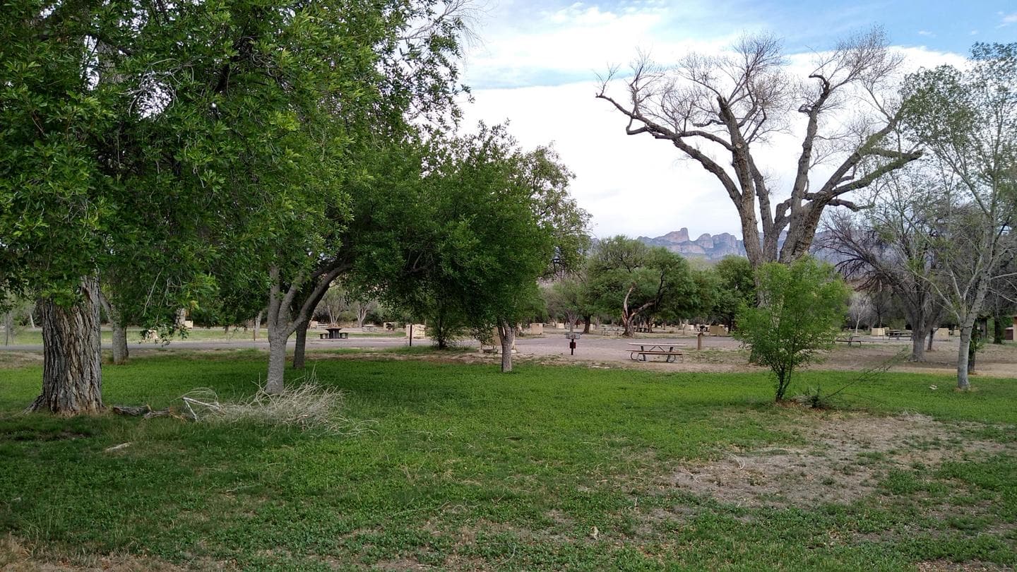 Rio Grande Village Group Campground (Big Bend, TX)