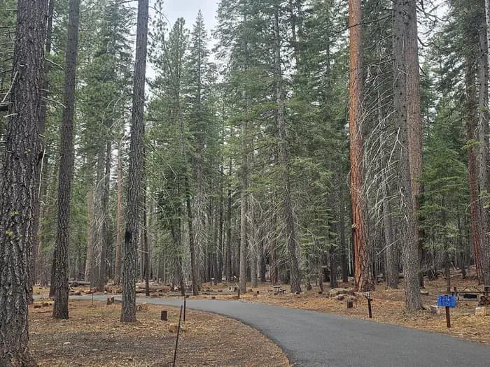 GURNSEY CREEK photo 3