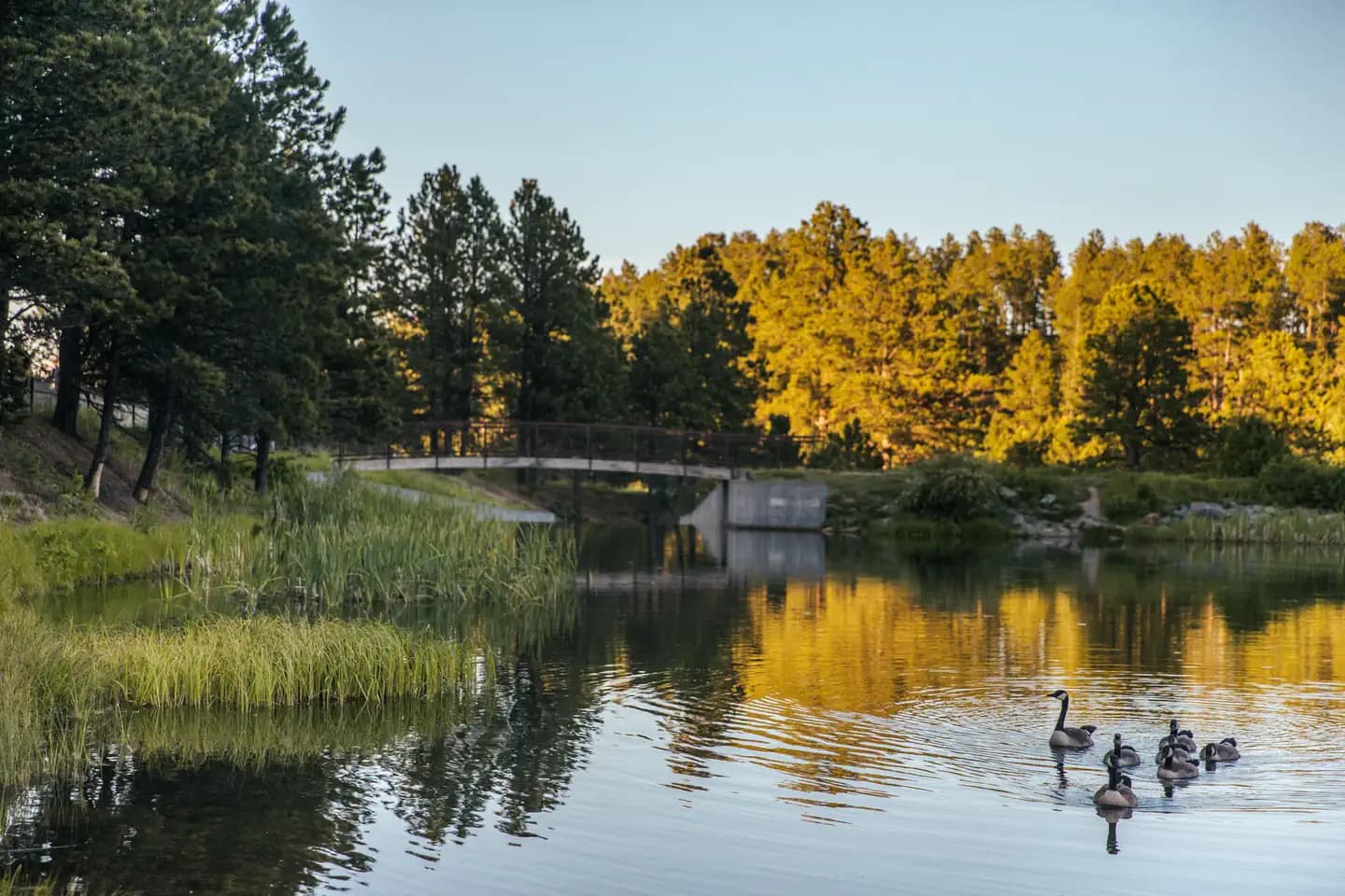 ROUBAIX LAKE photo 2