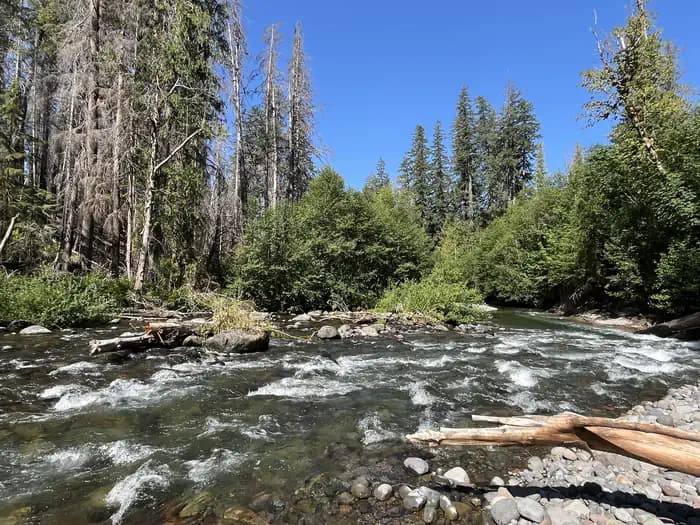 CLEATOR BEND photo 3