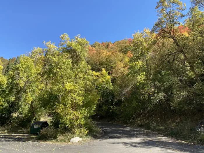 MUELLER PARK GROUP PICNIC photo 3