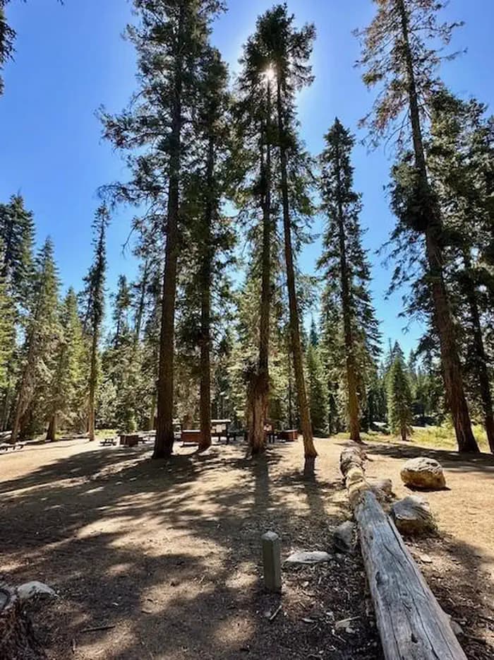 FIR GROUP campground