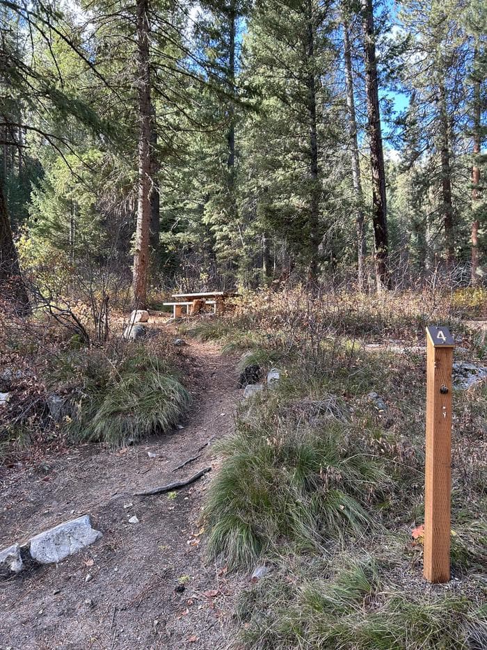 BAD BEAR CAMPGROUND photo 3