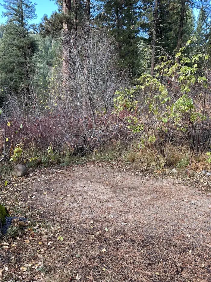 HAYFORK GROUP CG photo 3