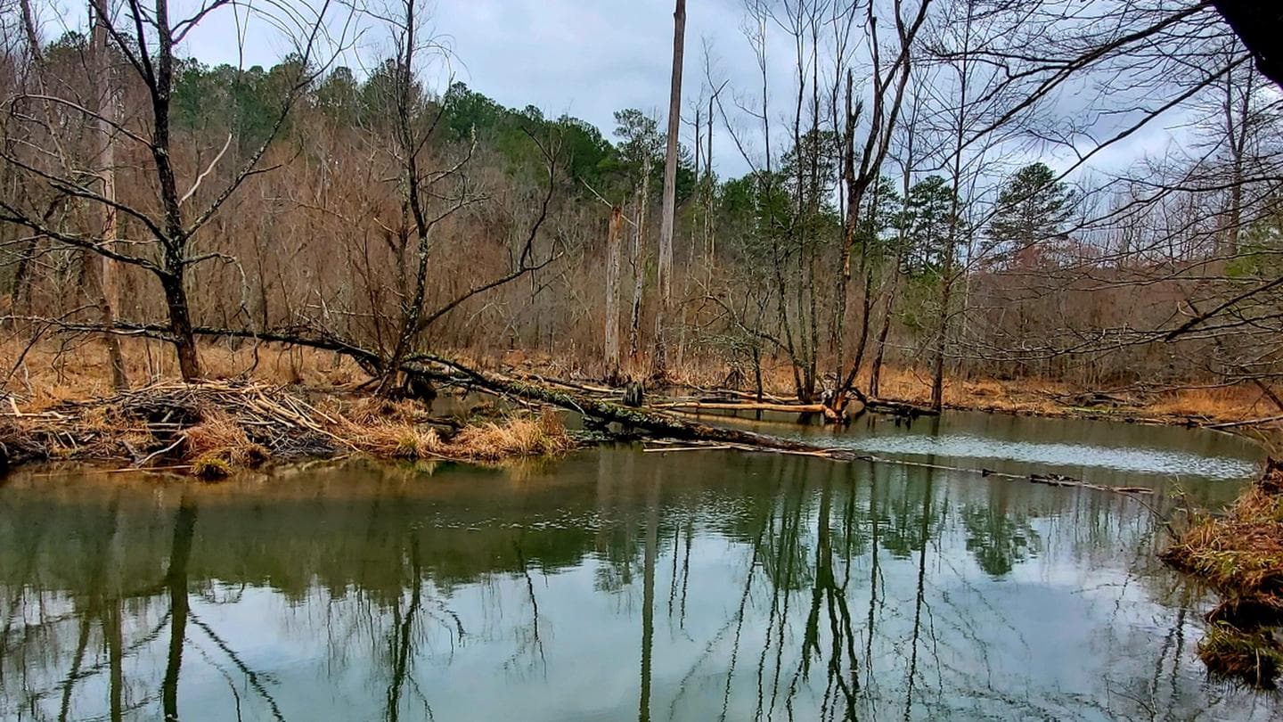 Pocket Campground campground