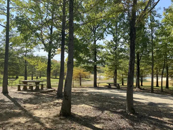 Cove Creek (AR) photo 3