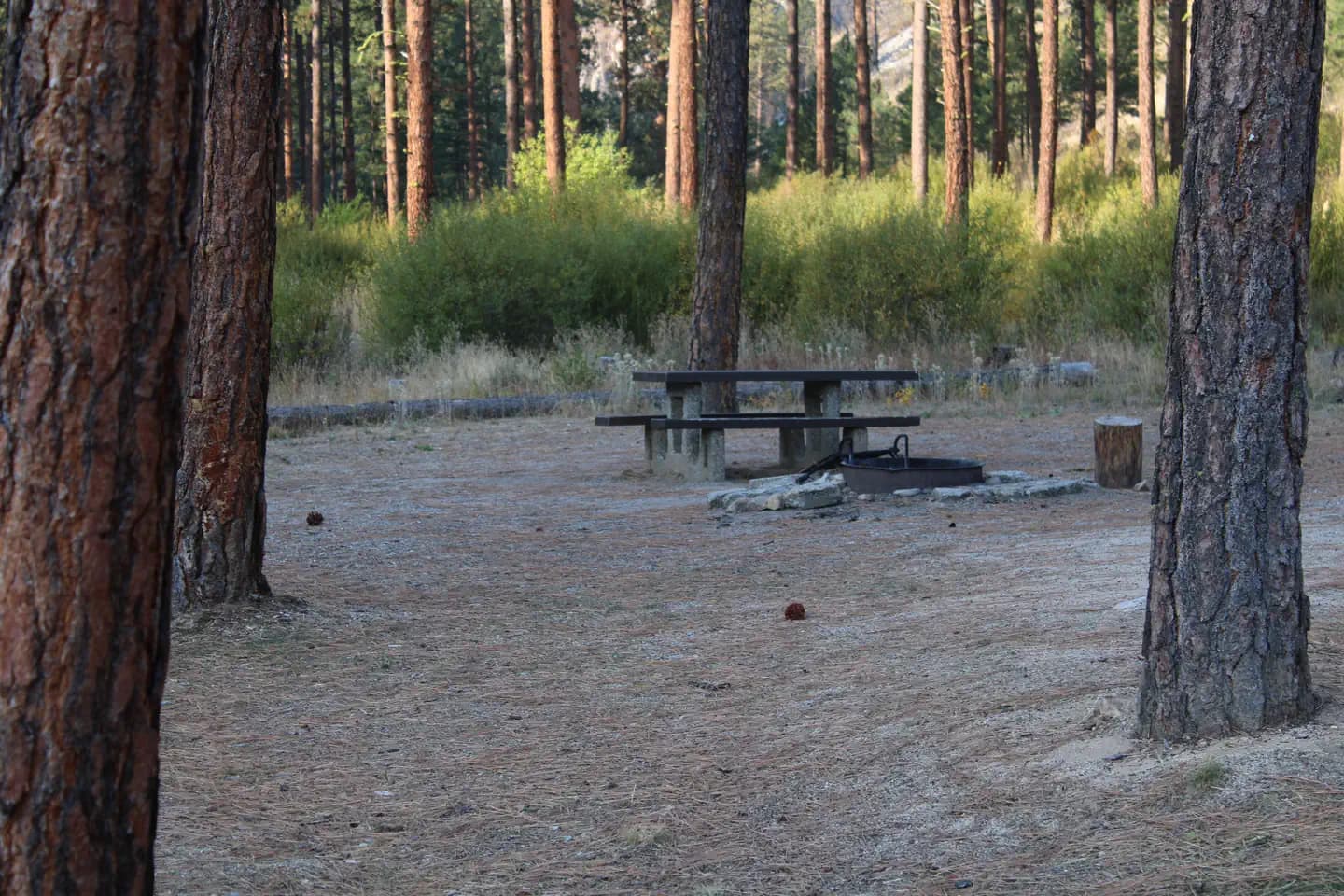 PINE FLATS (ID) photo 3