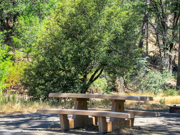 Mill Valley Campground photo 3