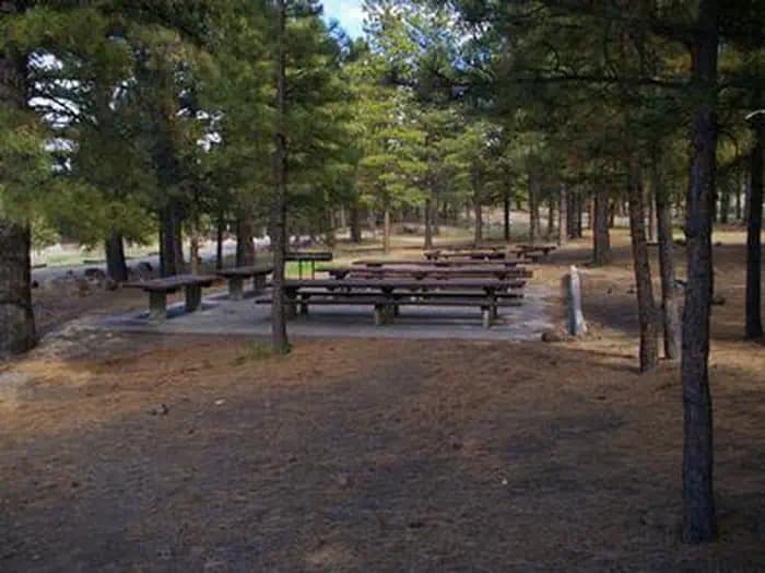 SINGLETREE campground