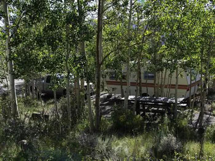 BOWERY CREEK photo 3