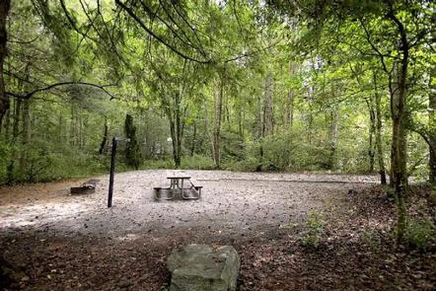 DAVIDSON RIVER photo 3