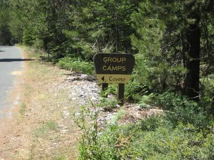 COYOTE GROUP photo 3