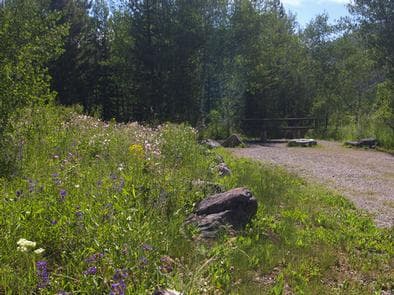 EASLEY CAMPGROUND photo 3