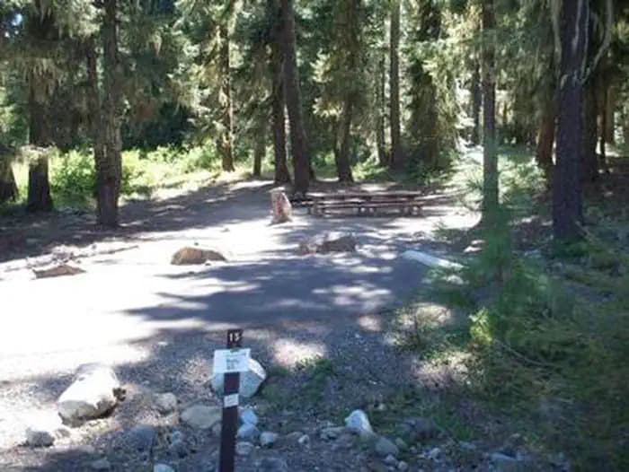 SALMON LA SAC photo 2