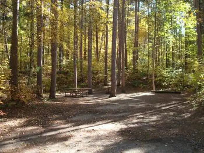 NORWAY BEACH LOOP campground