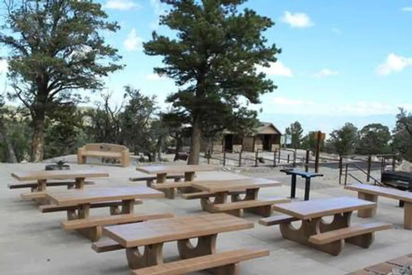 MAHOGANY GROVE photo 3