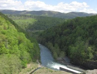 MORRIS HILL CAMPGROUND photo 3