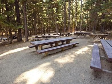 NEWBERRY GROUP CAMP SITE photo 3