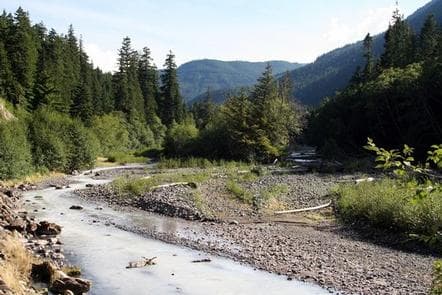 Silver Springs Campground photo 3