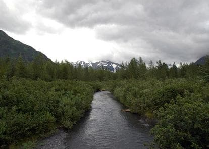 WILLIWAW CAMPGROUND campground