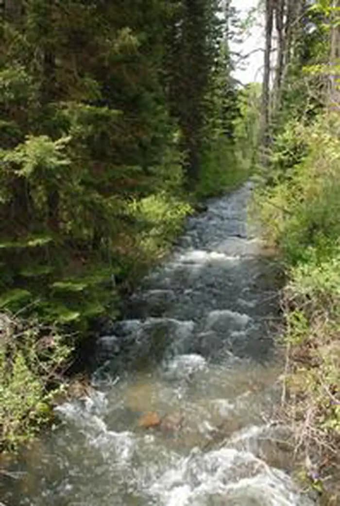 MINERAL SPRINGS GROUP photo 3