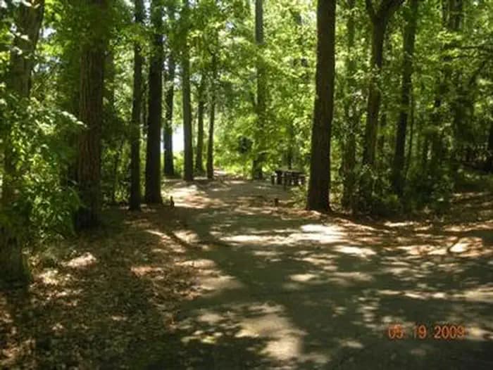 DOUBLE LAKE RECREATION AREA photo 2