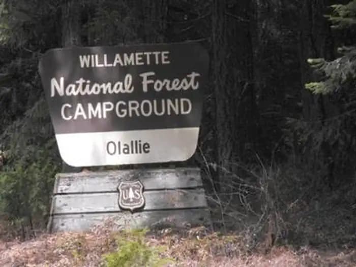 Olallie on McKenzie Highway - Willamette (OR) photo 2