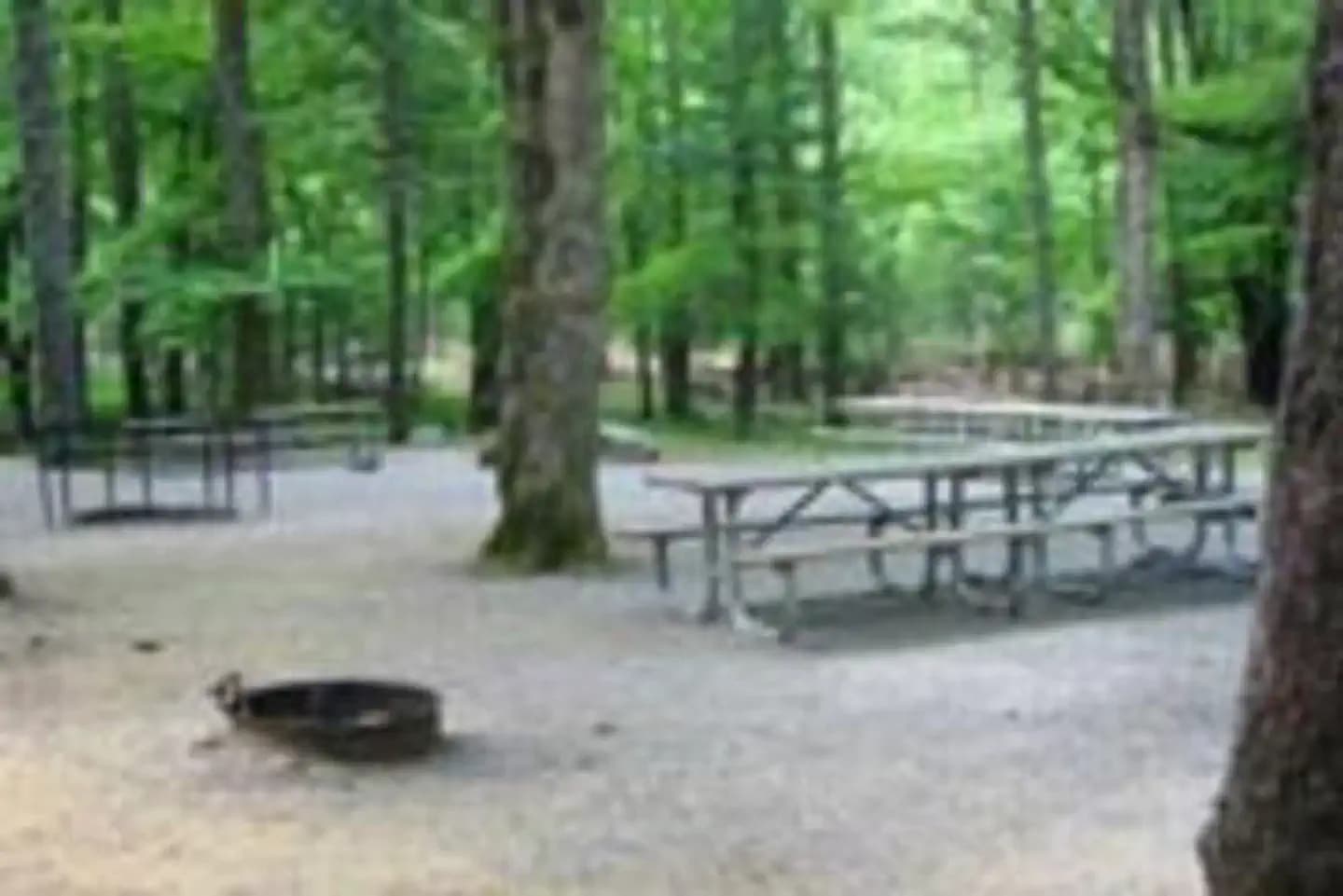 CADES COVE GROUP campground