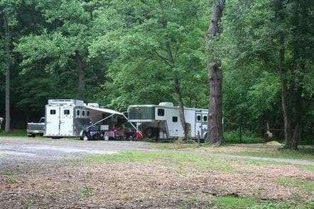 CATALOOCHEE HORSE CAMP campground