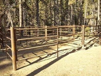 WHITEFISH HORSE CAMP campground