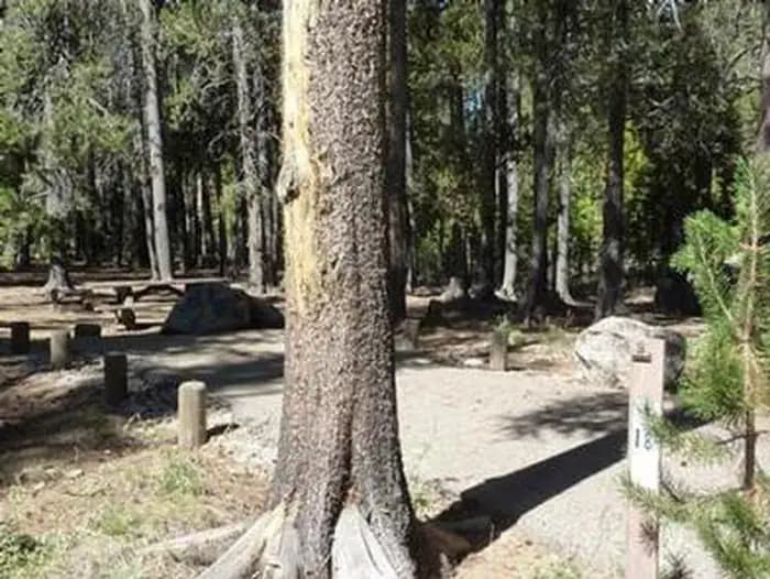 JACKASS MEADOW photo 3